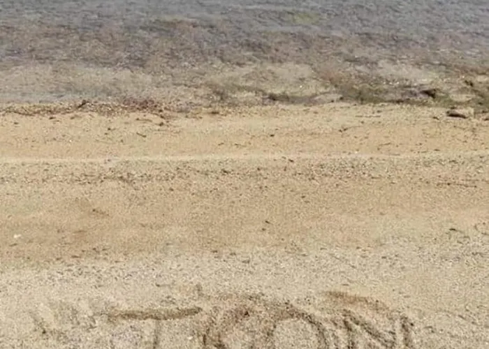 Jelena Lägenhet Tkon